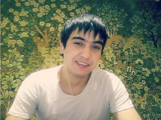   ,   B O B U, 33 ,   ,   , c 