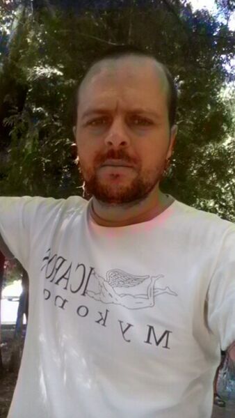  ,   Viitalic, 41 ,   