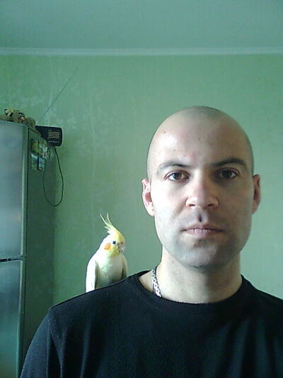  ,   , 41 ,     , c 