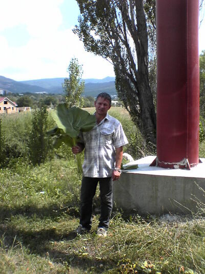 ,   , 58 ,   