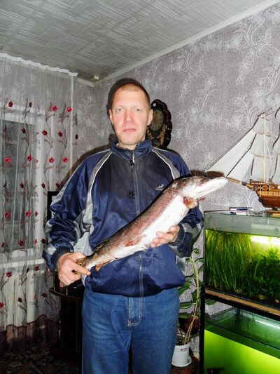  ,   , 52 ,   c 