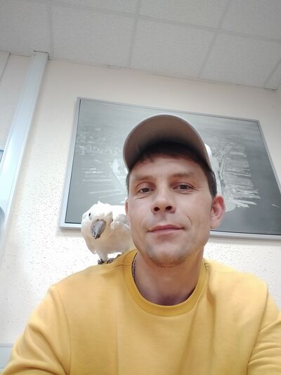  ,   , 41 ,     , c 