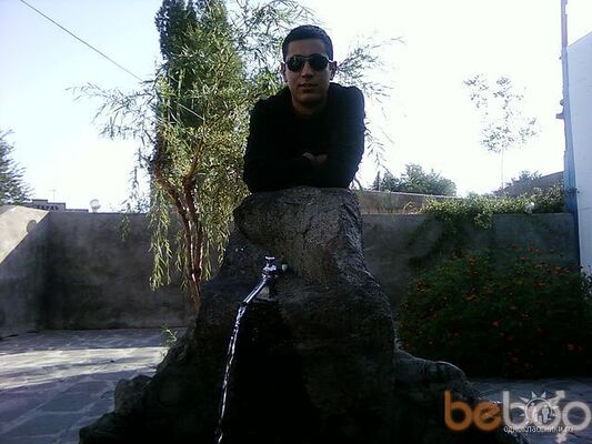  ,   NORO, 37 ,   