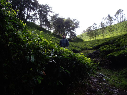  ,   , 54 ,   ,   , c 