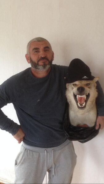   ,   Arkadi, 42 ,   ,   
