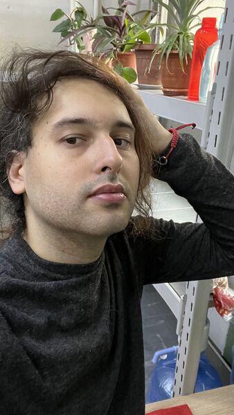  ,   , 34 ,   ,   