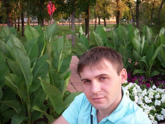  ,    , 41 ,   