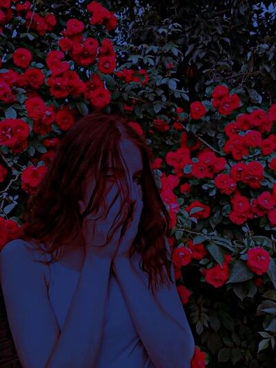  -,   , 20 ,   ,   