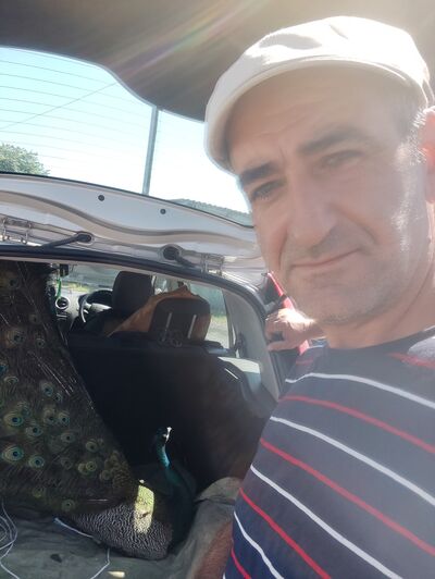  ,   Garry, 43 ,   ,   