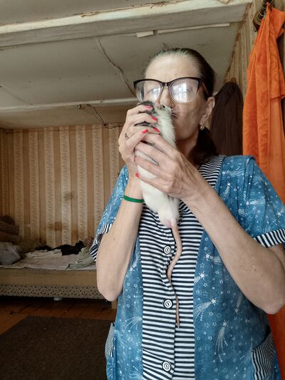  ,   , 58 ,   ,   