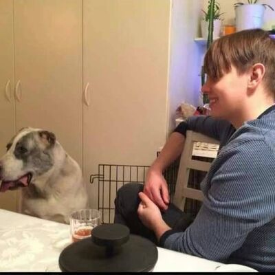  ,   Viktor, 29 ,   ,   , c 