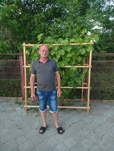  ,   , 58 ,   c 