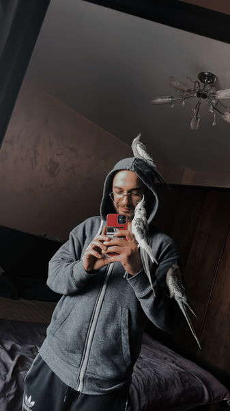  ,   Moses, 34 ,   ,   