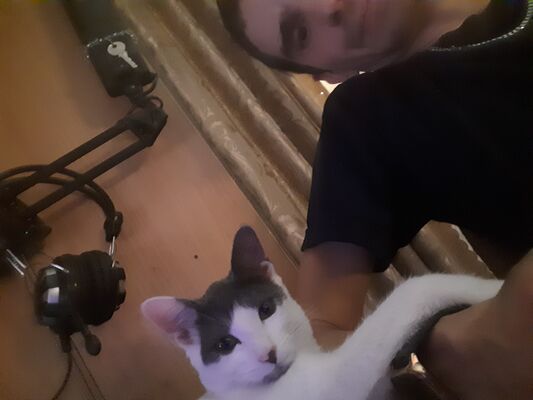  -,   , 35 ,   ,   , c , 