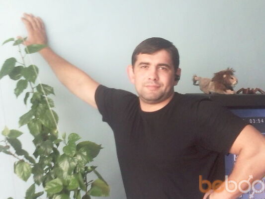  ,   GRIZLI, 44 ,     , c , 