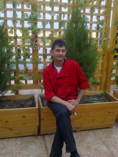  ,   Alim, 56 ,   ,   , c 