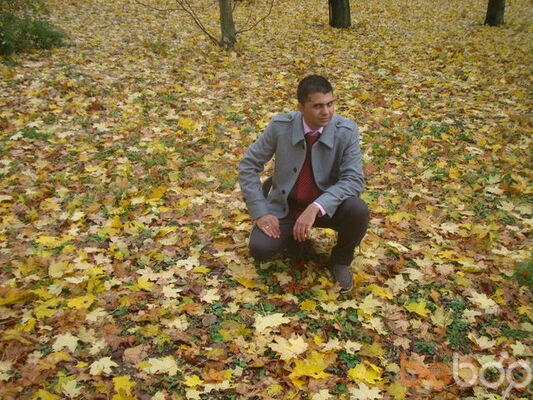  ,   Arash, 41 ,   ,   , c 