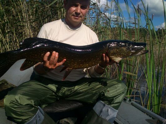  ,   , 62 ,   ,   , c 