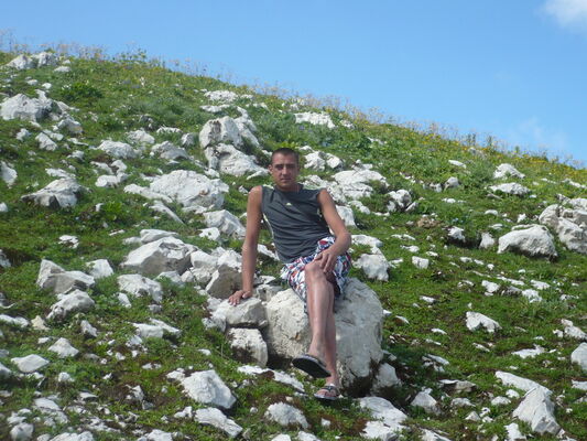  ,   , 41 ,   