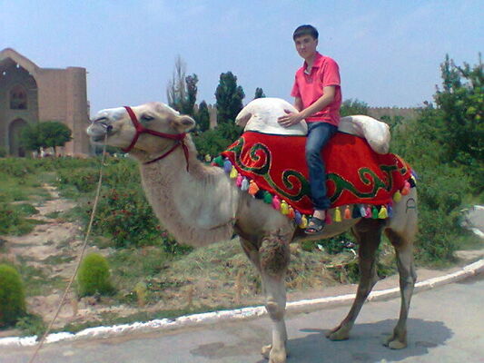  ,   , 33 ,   ,   , c 