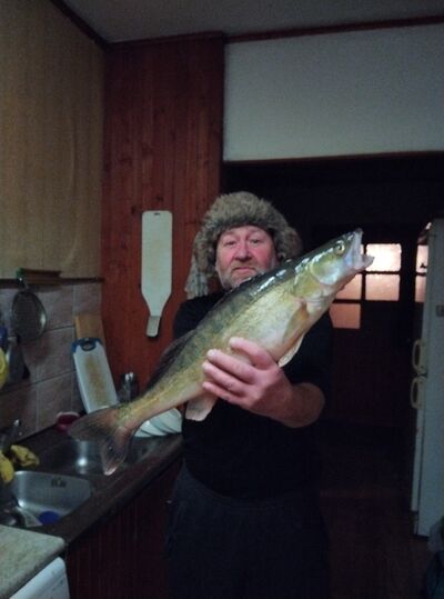  ,   Andrej, 61 ,   