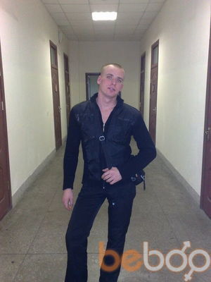  -,   Doberman, 38 ,   ,   , c 