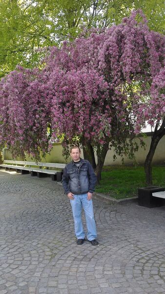  ,   , 52 ,     , c 