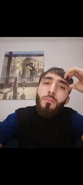  ,   Elsever, 28 ,   ,   
