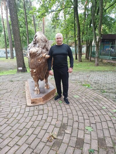  -,   , 54 ,   ,   