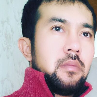  ,   Timax, 41 ,   