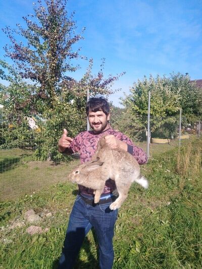  ,   Gosha, 33 ,   ,   , c 