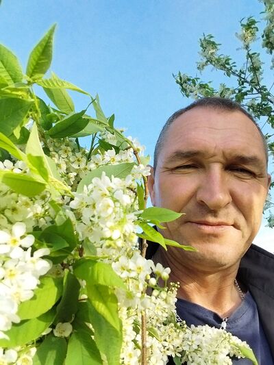   ,   , 54 ,   ,   
