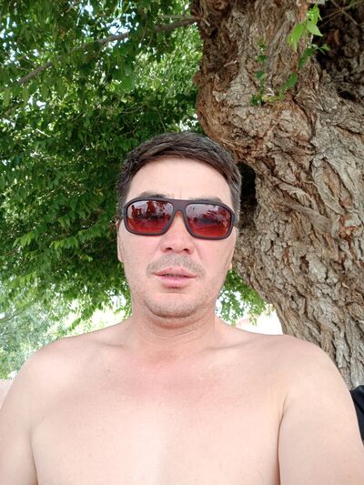  ,   Asyl, 41 ,   ,   