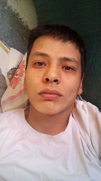  -,   , 33 ,   ,   , c 