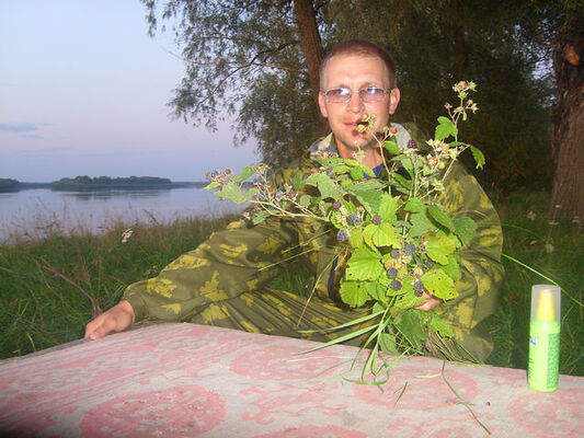  ,   Oxotnik, 50 ,   