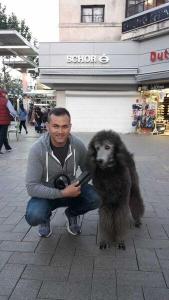  ,   Serghei, 41 ,   ,   