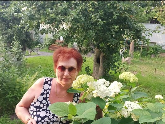  ,   , 62 ,   ,   