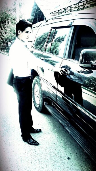  -,   UFC, 33 ,   ,   , c 