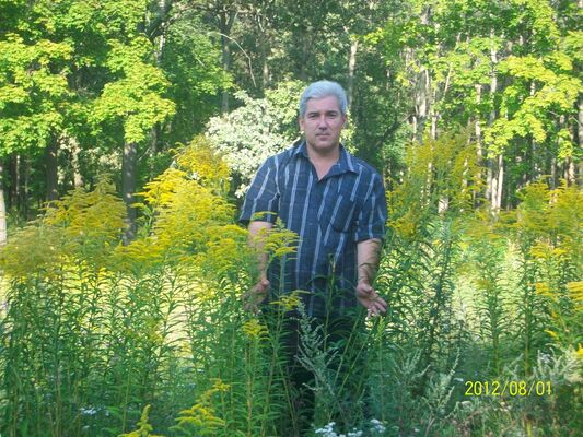   ,   Alekxandr, 53 ,   
