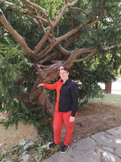  Sint-Truiden,   , 27 ,   c , 