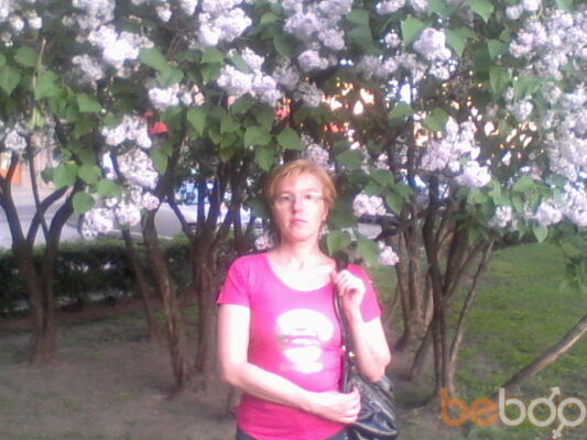  -,   , 53 ,  