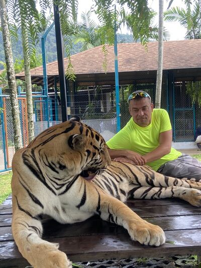  ,   Roman, 42 ,     , c 