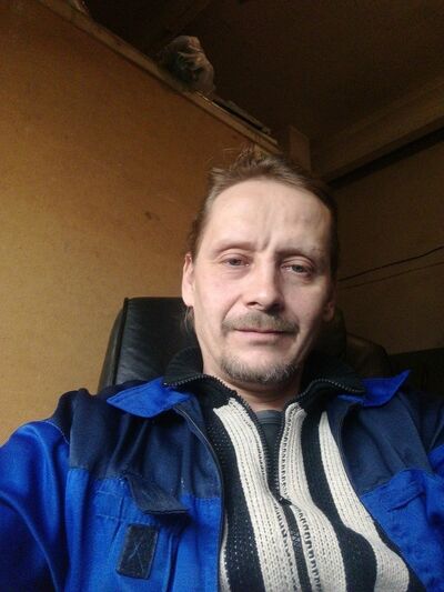  -,   Kot, 51 ,   