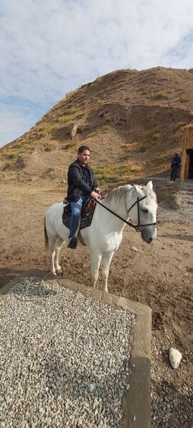 ���������� �������, ���� ������� �����, 38 ���, ������������ ��� ������, ����� � ���������