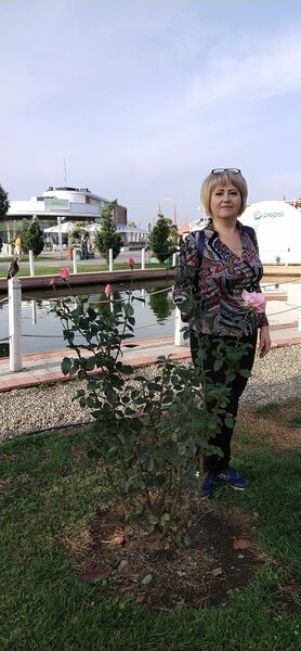  ,   , 61 ,   c , 