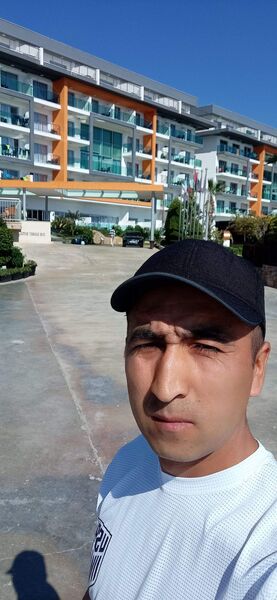  -,   , 33 ,   ,   