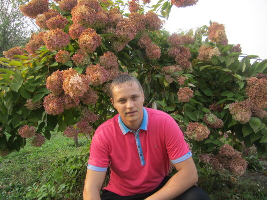   ,   , 36 ,   