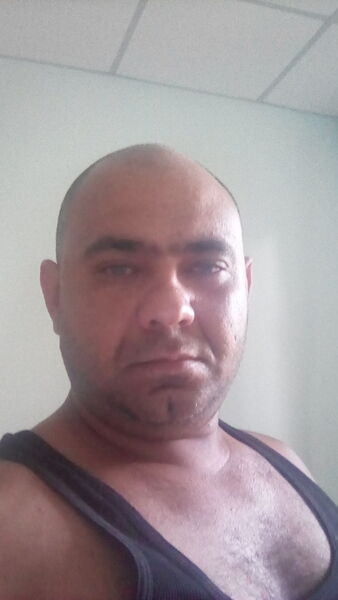  ,   Tolyan, 40 ,   ,   , c 