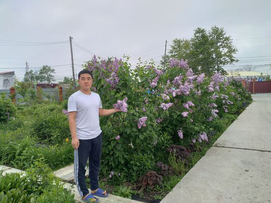  -,   , 31 ,   ,   