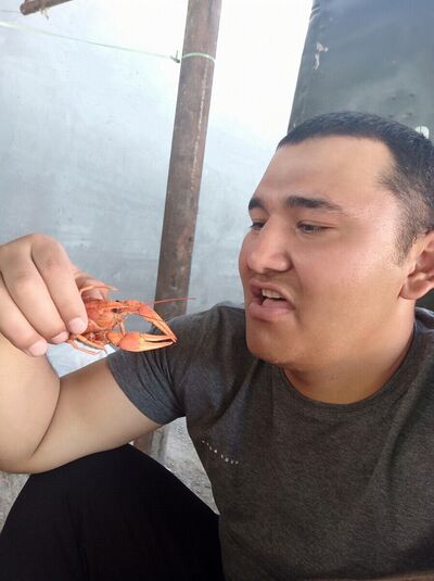  ,      , 31 ,   ,   , c 